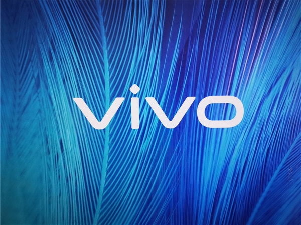  Vivo X200 Pro first revealed: dual-curved screen becomes equal-depth quad-curved screen