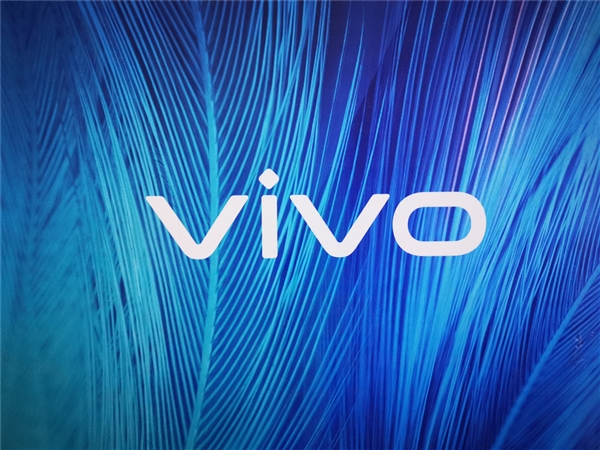 Vivo X200 series will launch a small-screen version: 6.3-inch mini screen and increased battery capacity